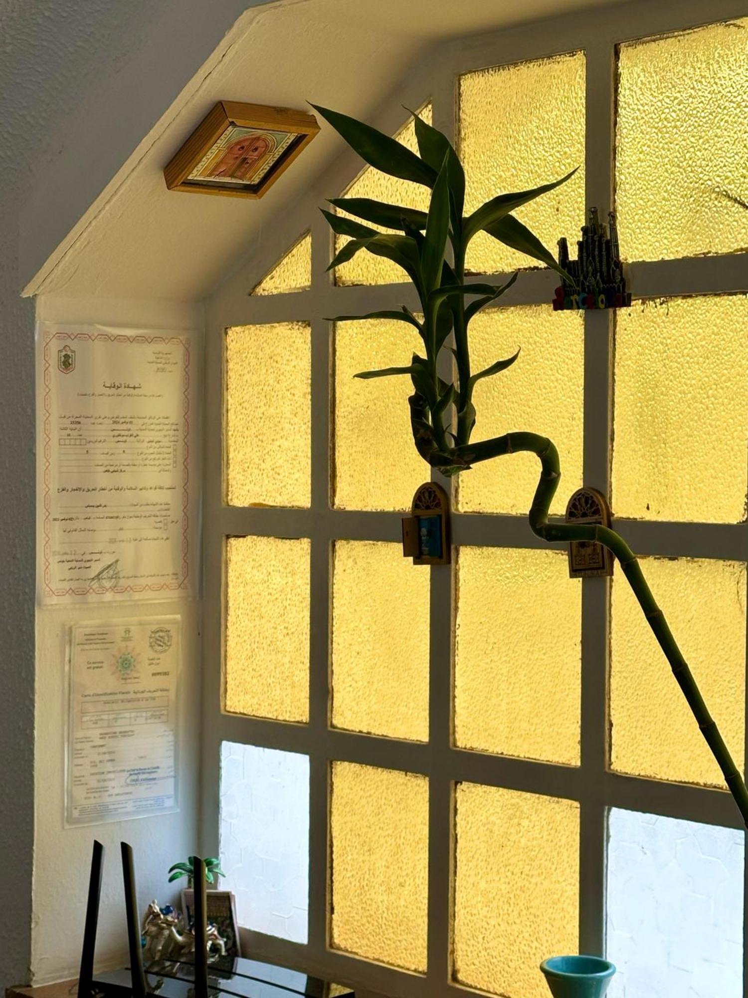 Nomads Hostel Tunisia Εξωτερικό φωτογραφία
